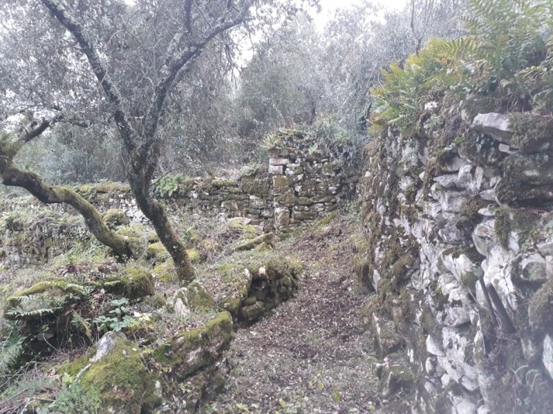 carreiros 18