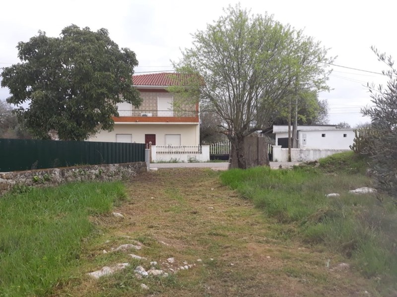 carreiros 22
