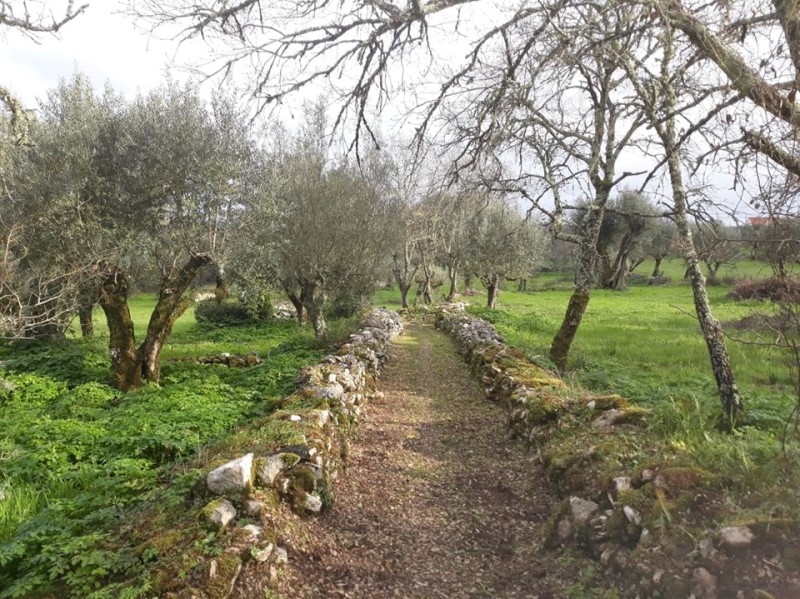 carreiros 27