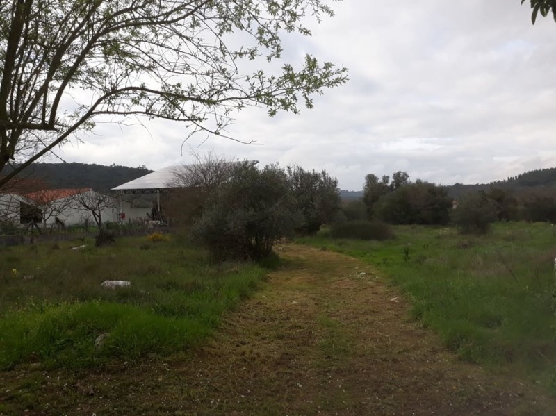 carreiros 32