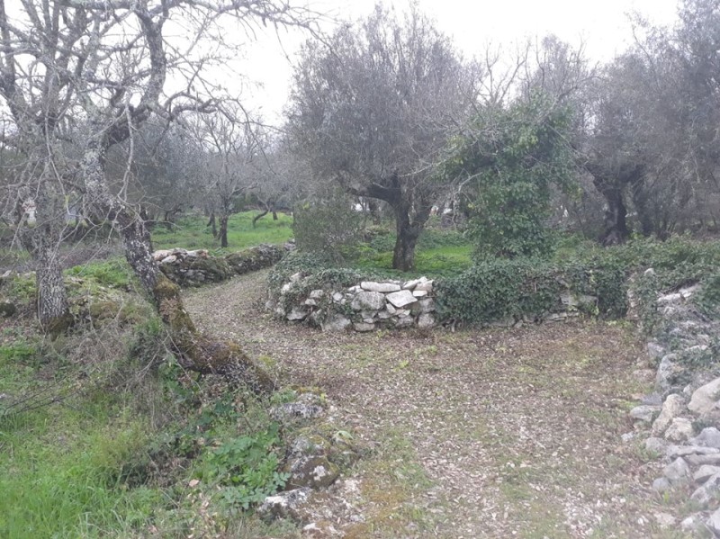 carreiros 39