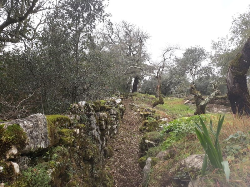 carreiros 4