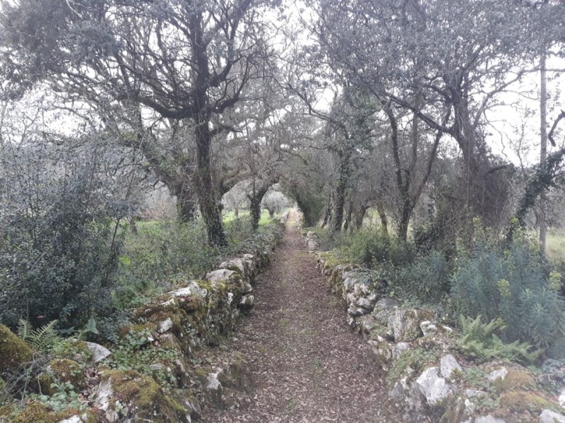 carreiros 7