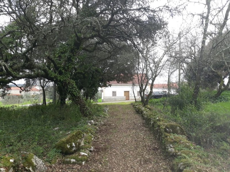 carreiros 9