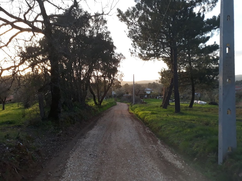 rfrei 15