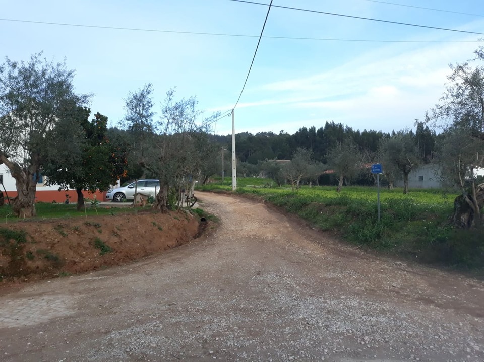 rfrei 2