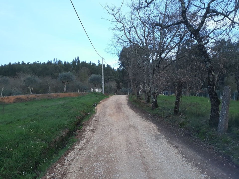 rfrei 3
