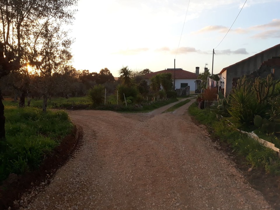 rocotrim 2