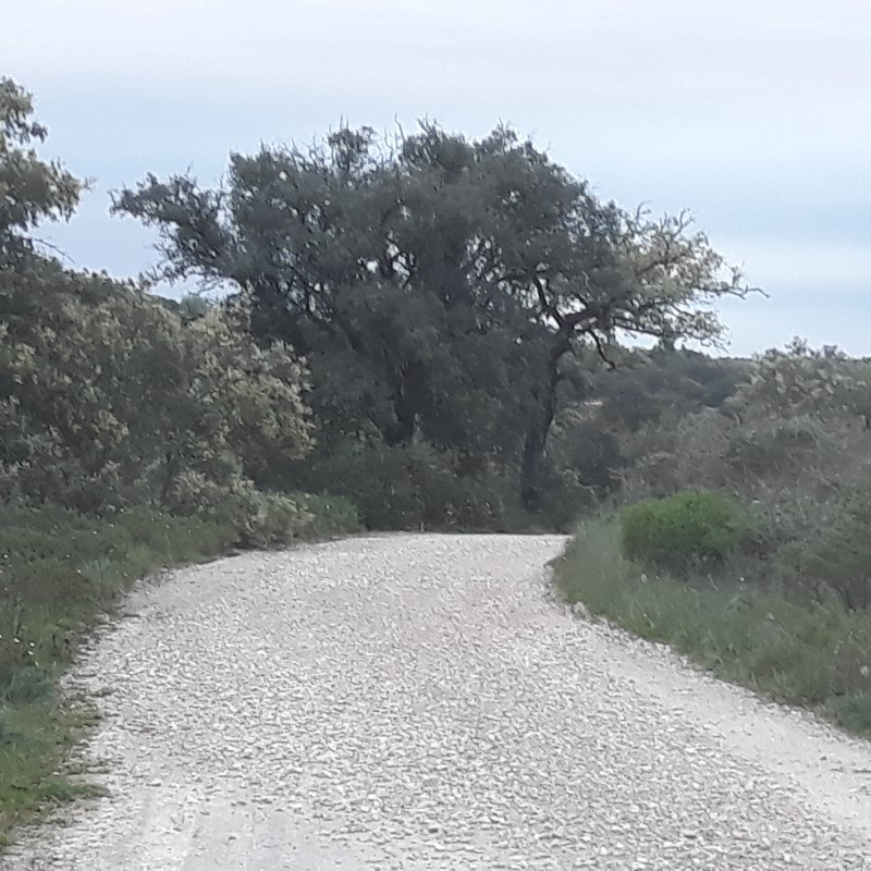 avecastatravessa 10