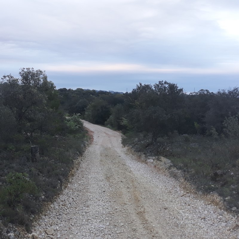 avecastatravessa 11