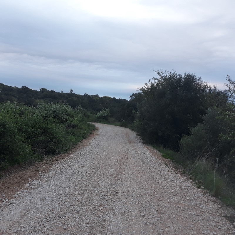 avecastatravessa 12