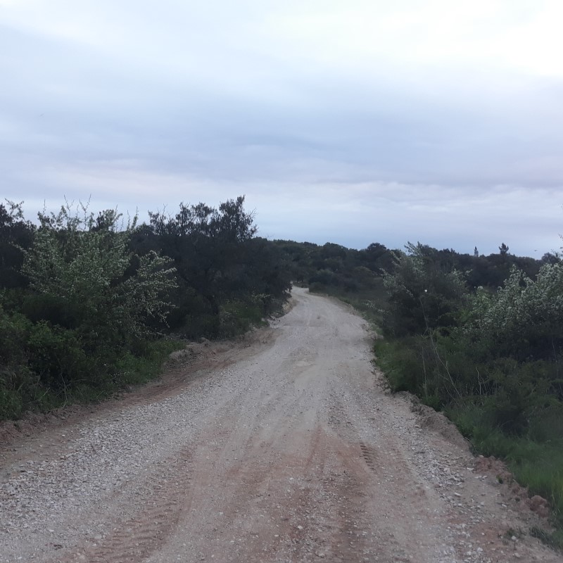 avecastatravessa 13