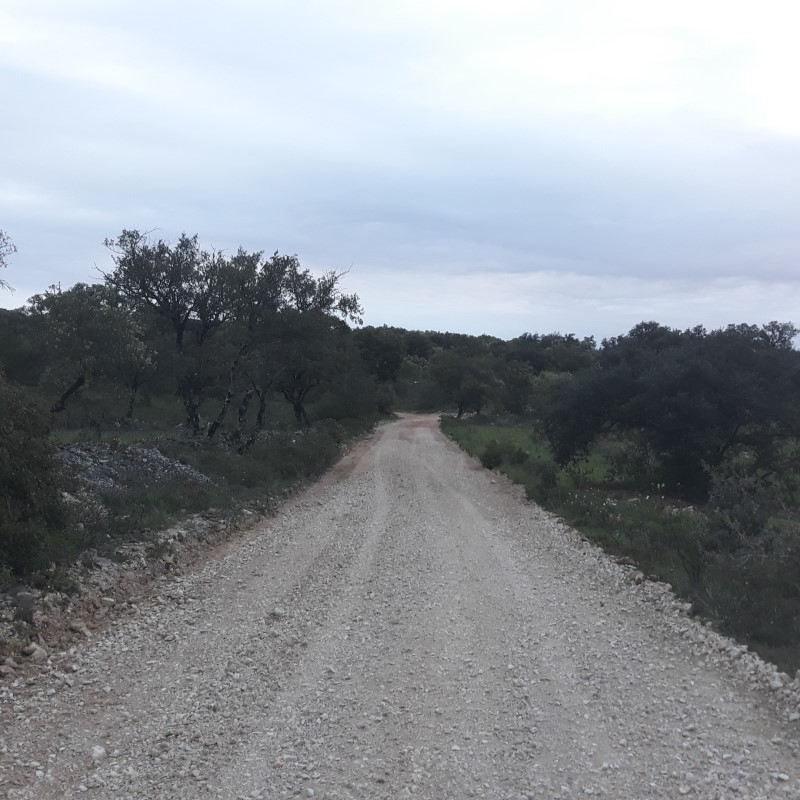 avecastatravessa 14