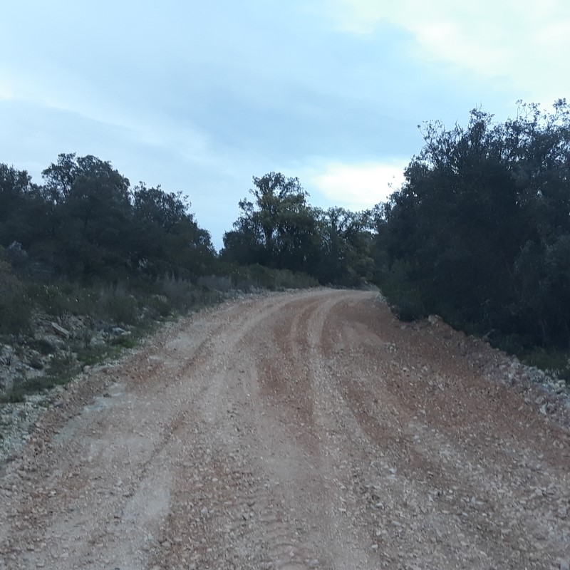 avecastatravessa 15