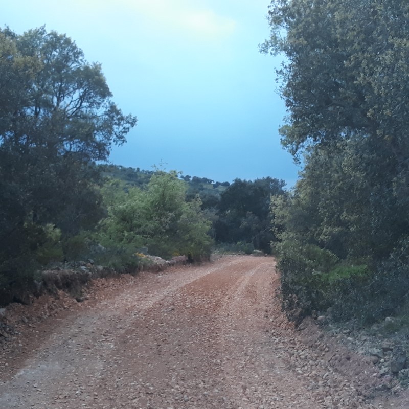 avecastatravessa 3