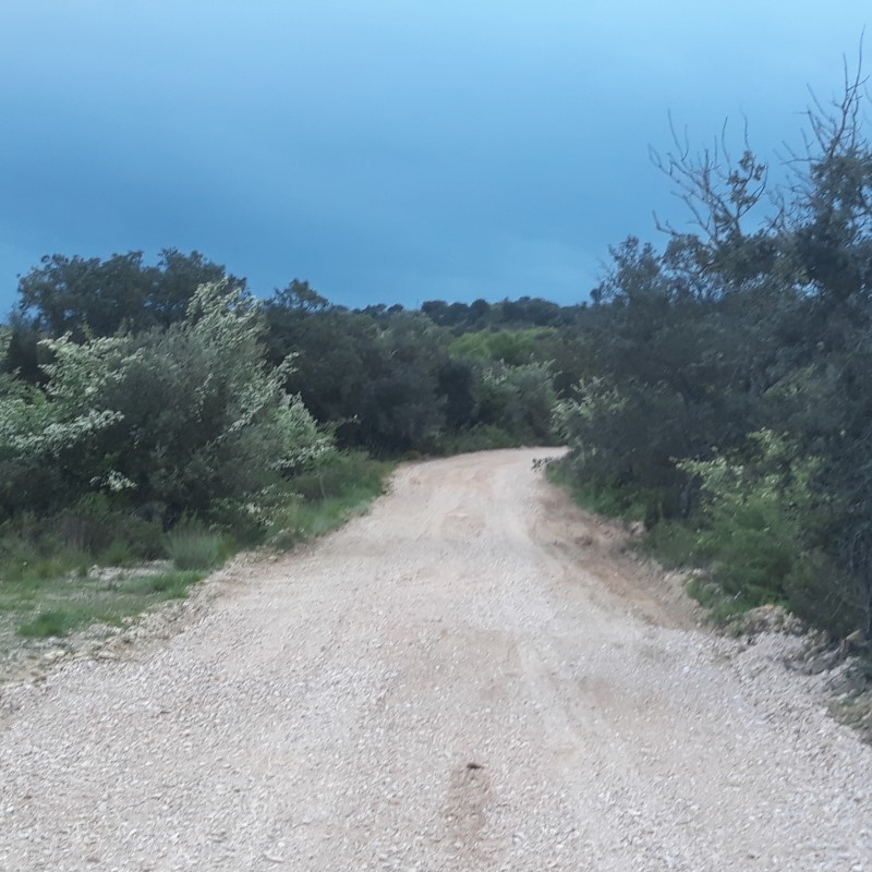 avecastatravessa 6
