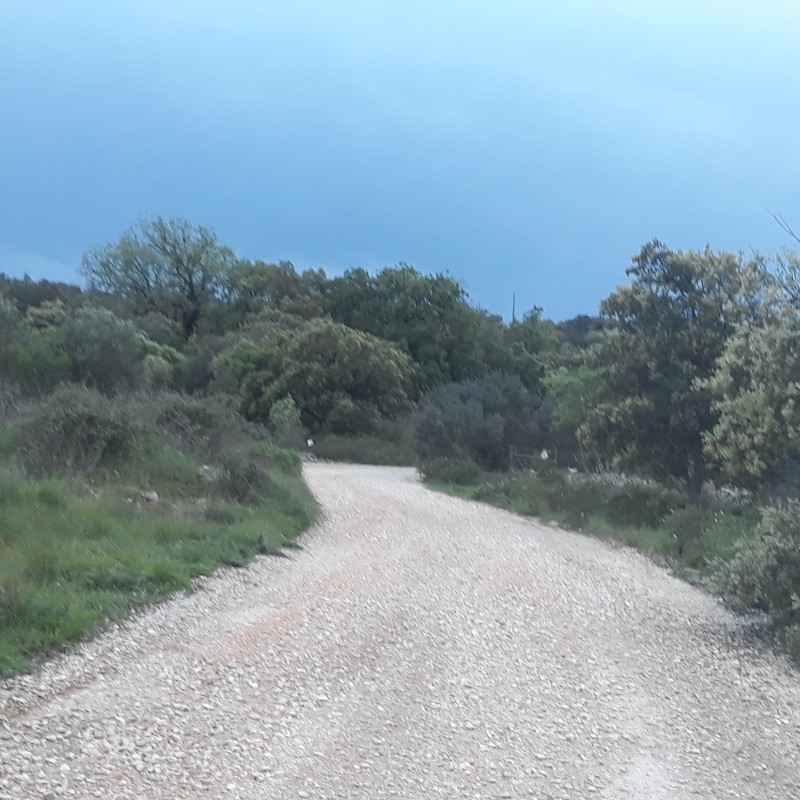 avecastatravessa 7