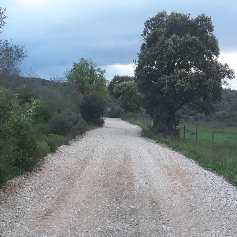 avecastatravessa 8