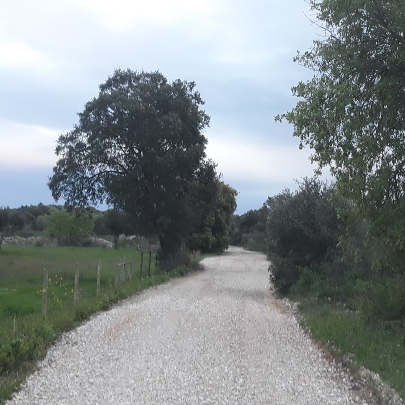 avecastatravessa 9