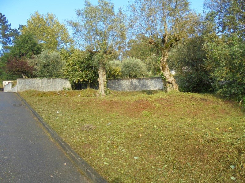 limpezaspias 14