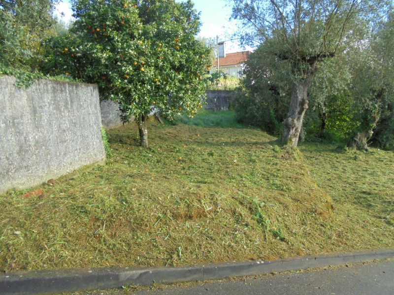 limpezaspias 16