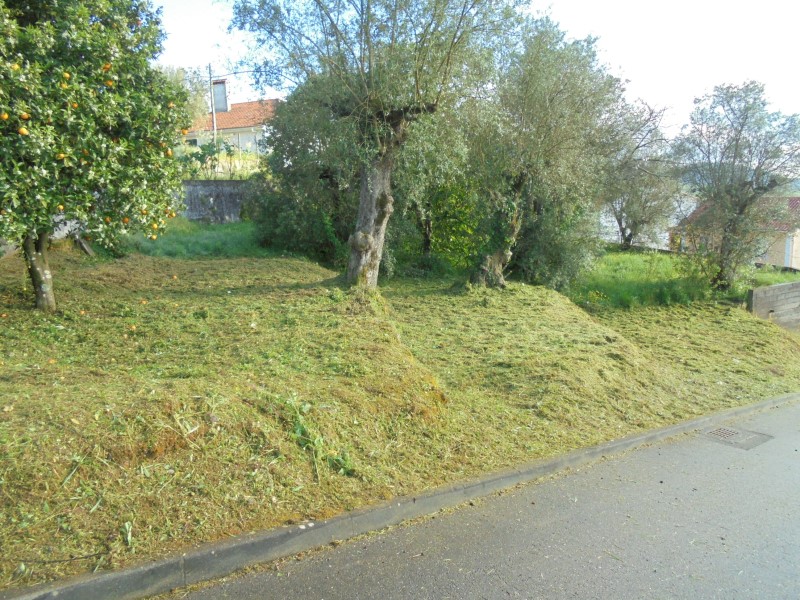 limpezaspias 17