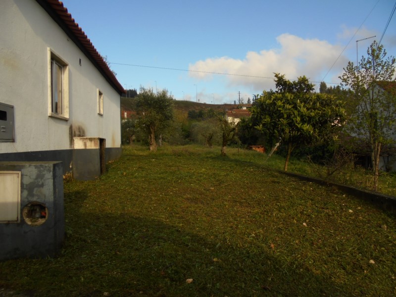 limpezaspias 19
