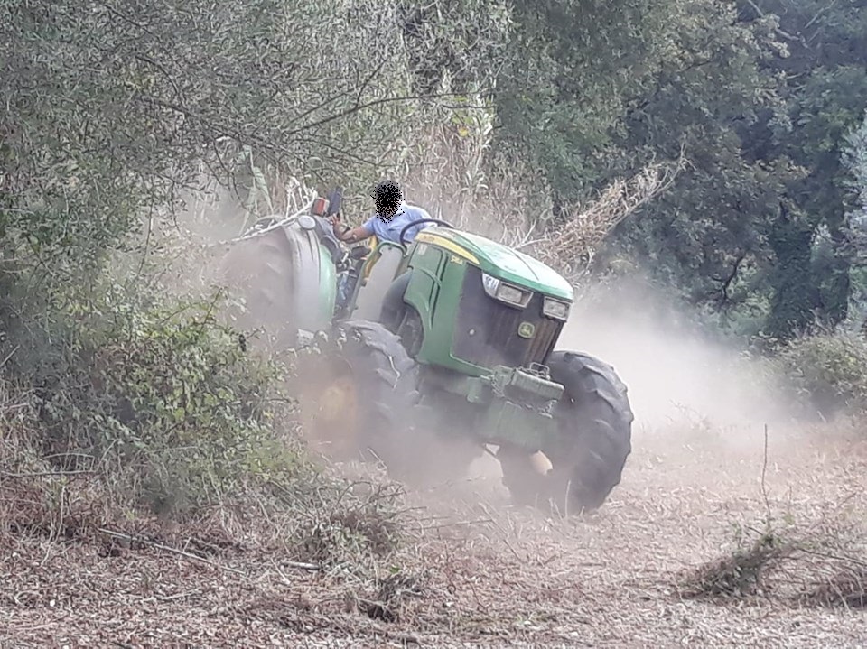 caminhopias 1 1