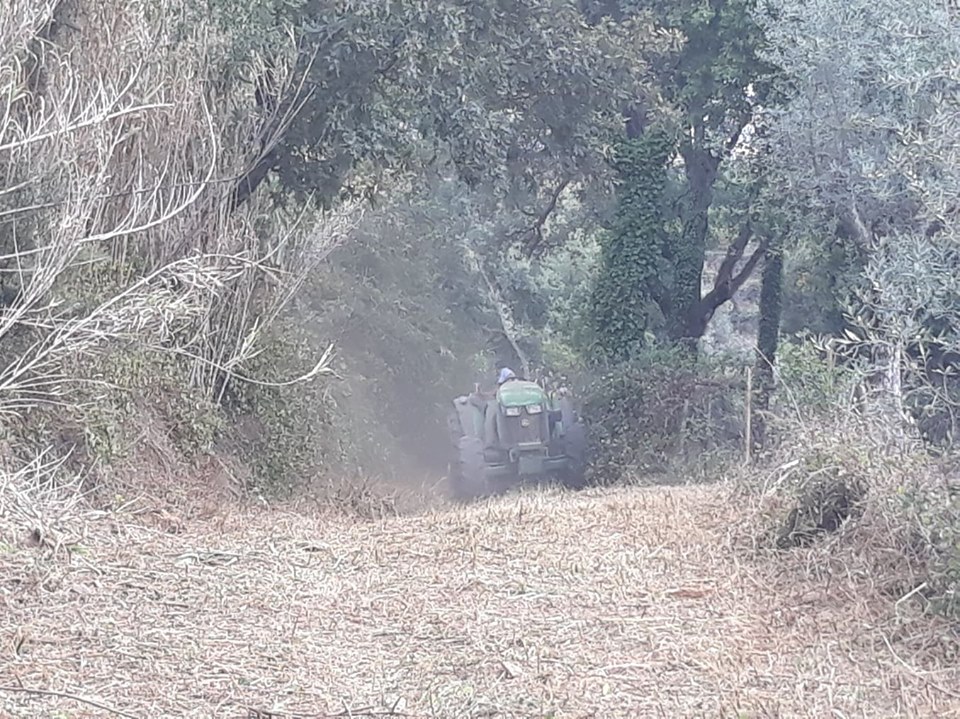 caminhopias 1 2