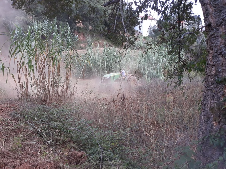 caminhopias 1 3