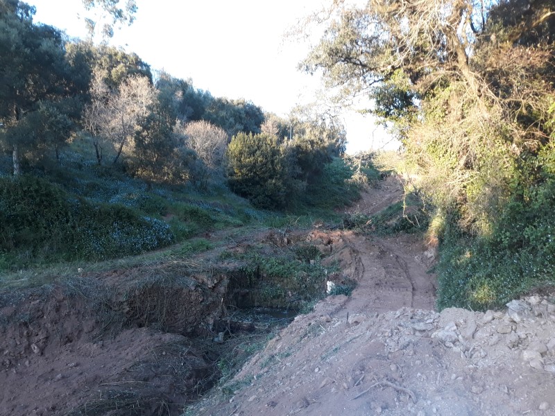 caminhopias 3 12
