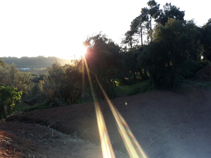 caminhopias 3 15