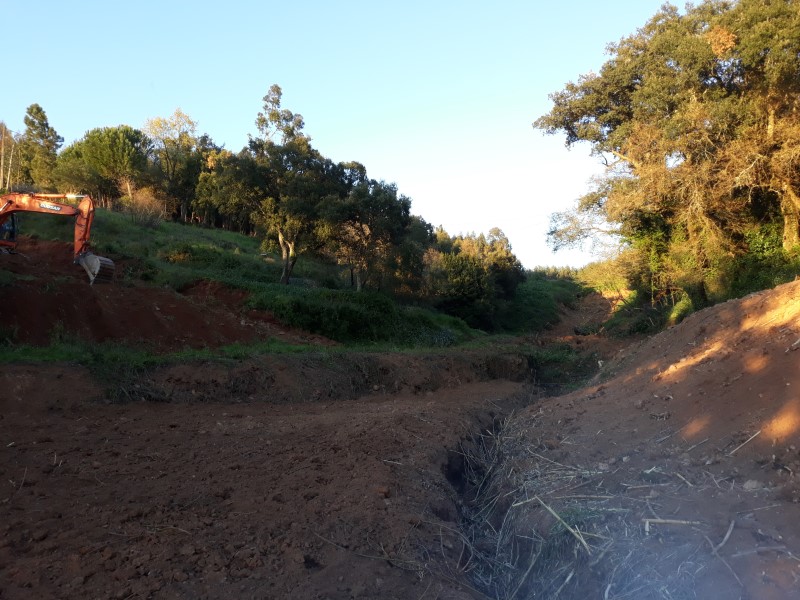 caminhopias 3 17