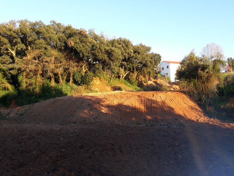 caminhopias 3 18
