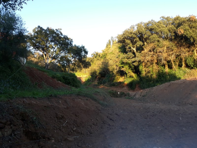 caminhopias 3 20