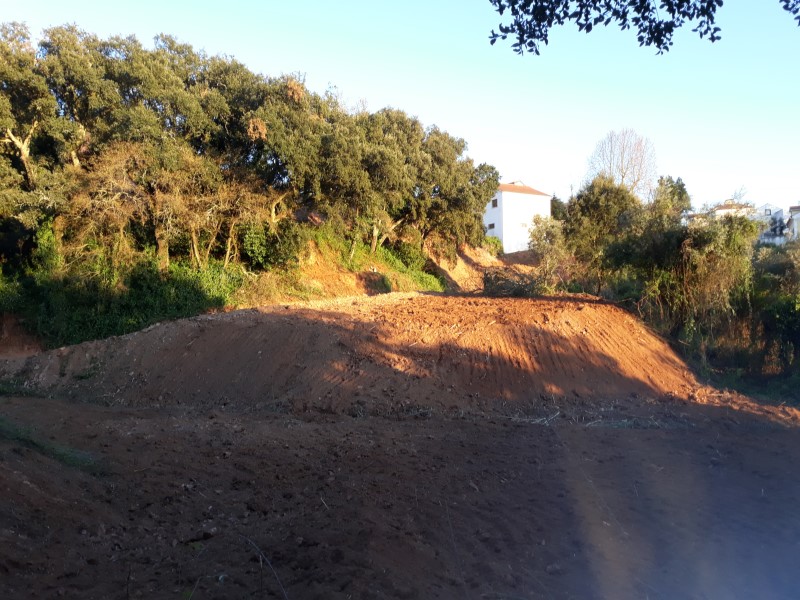 caminhopias 3 21