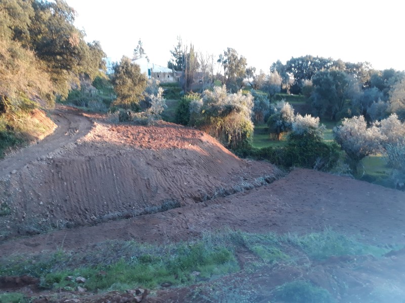 caminhopias 3 25