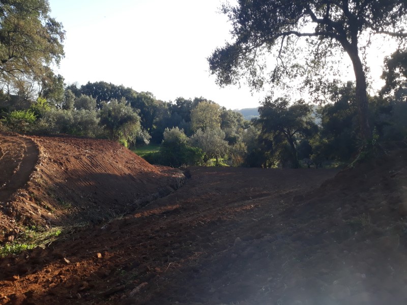 caminhopias 3 30