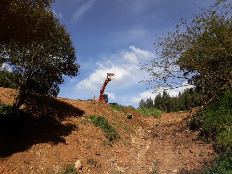caminhopias 3 32
