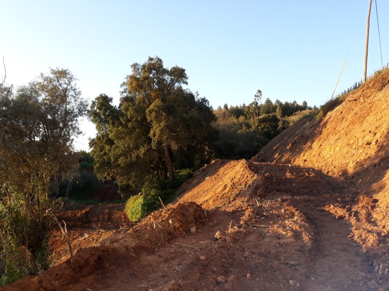 caminhopias 3 8