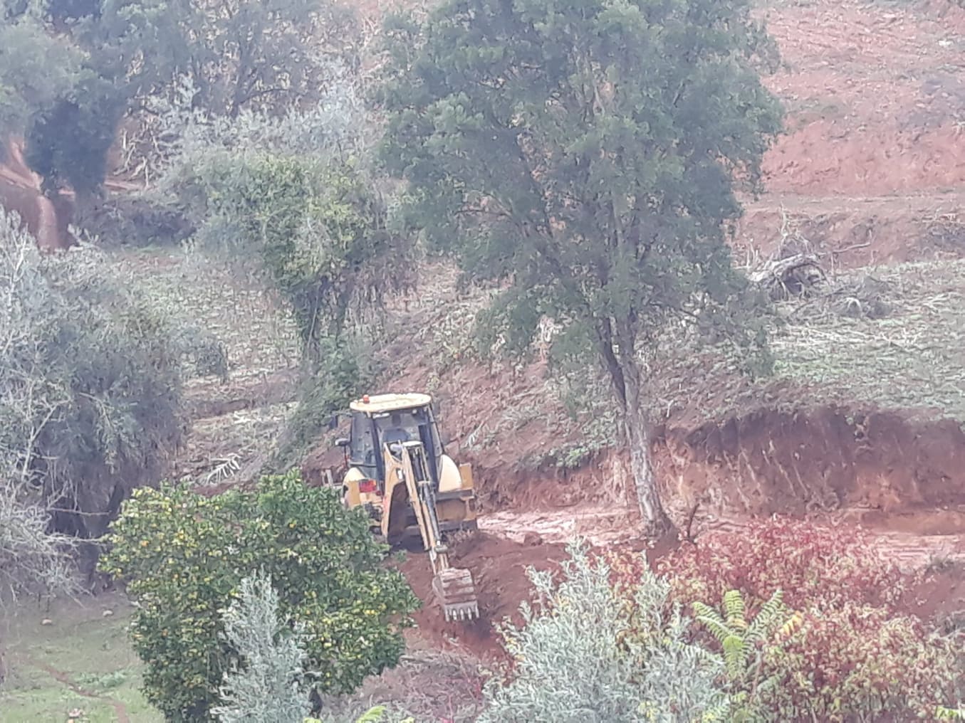 caminhopias 4 10