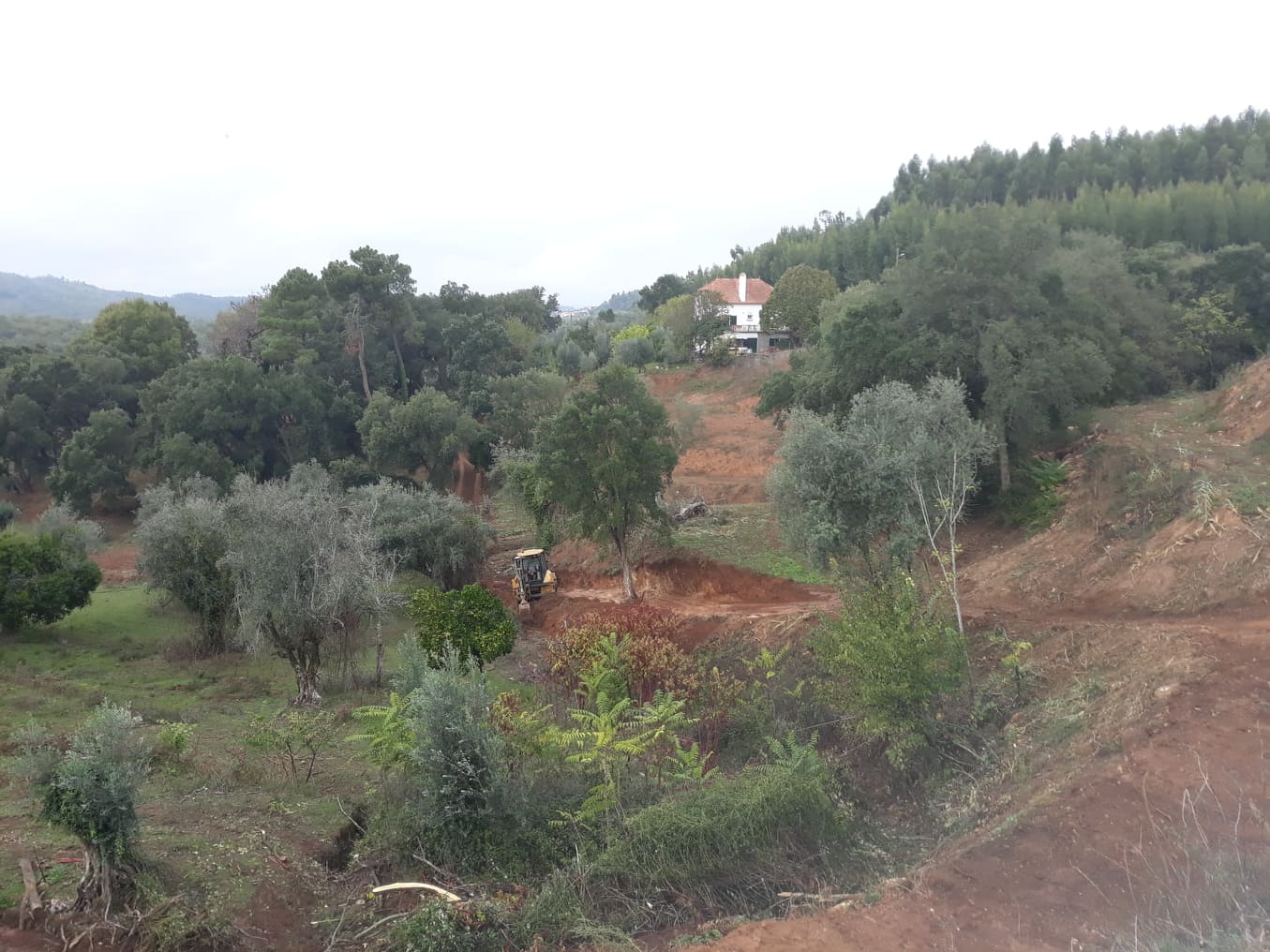 caminhopias 4 4