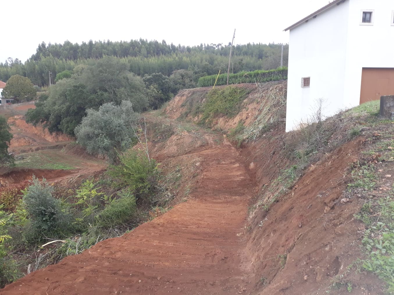 caminhopias 4 5