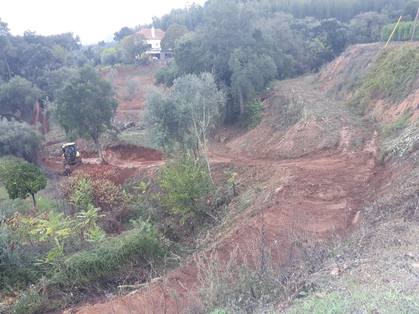 caminhopias 4 6