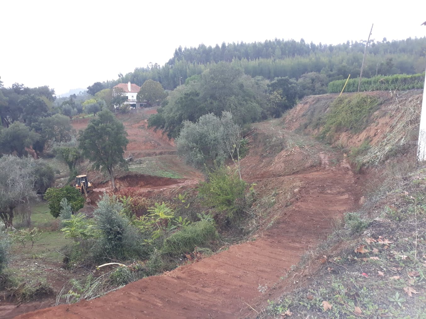 caminhopias 4 8