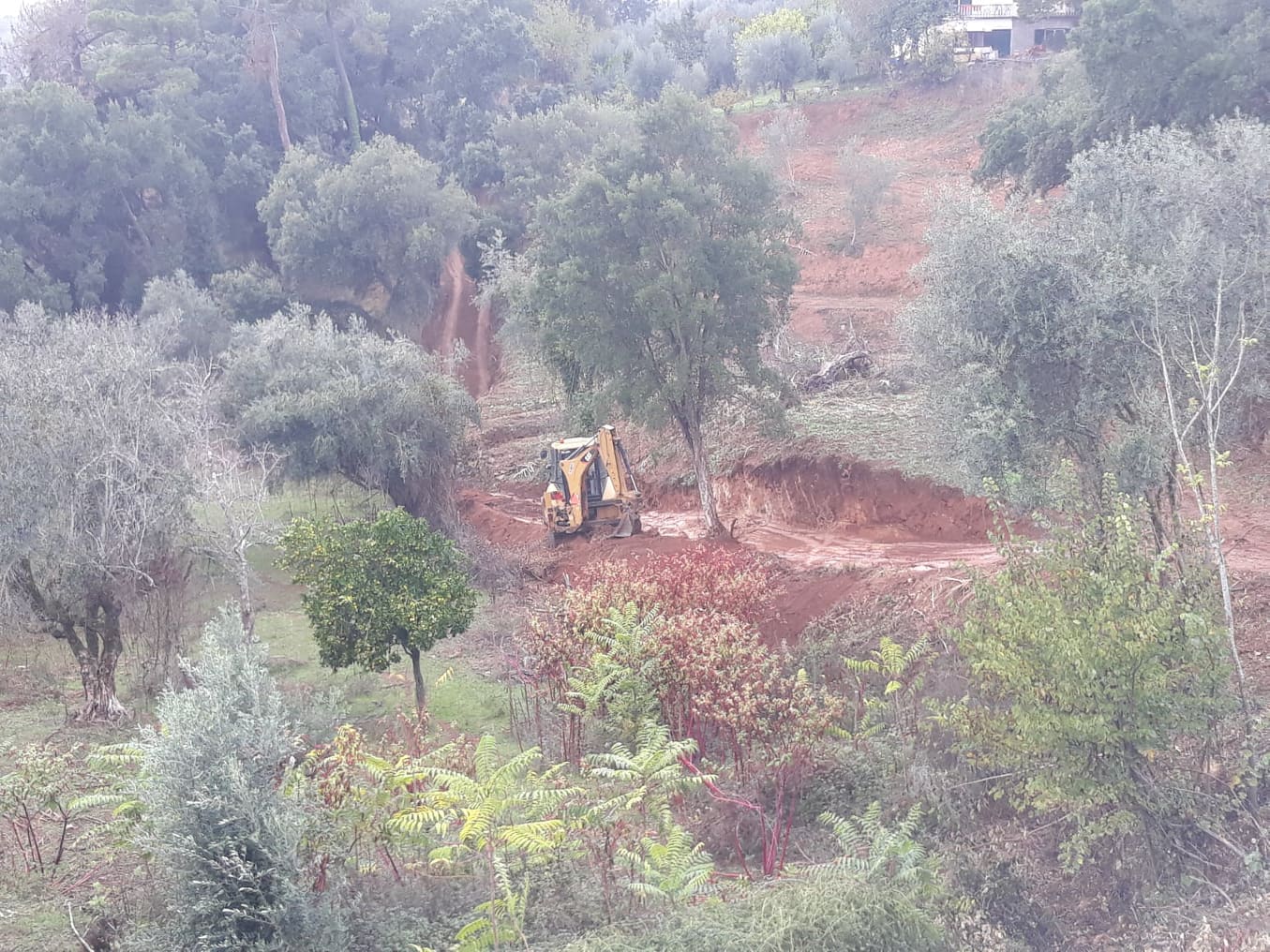 caminhopias 4 9