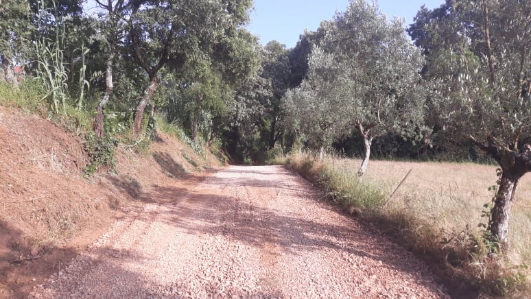 caminhopias 5 11