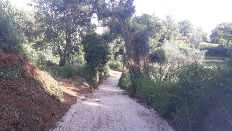 caminhopias 5 13