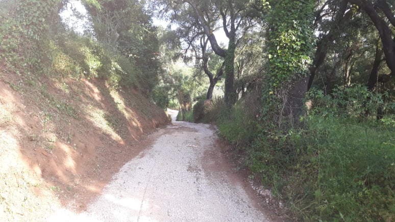 caminhopias 5 14