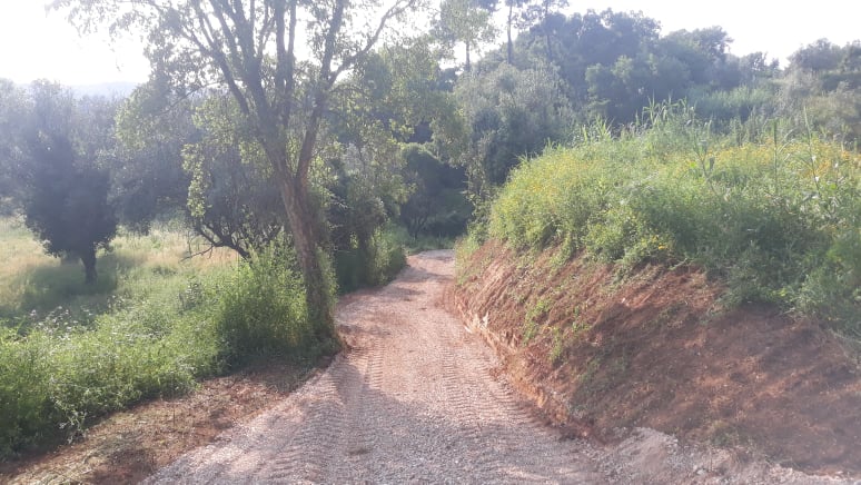 caminhopias 5 16